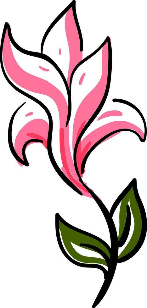 sketch of pink flower vector or color illustration