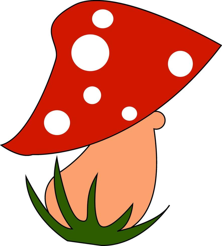 A red mushroom vector or color illustration