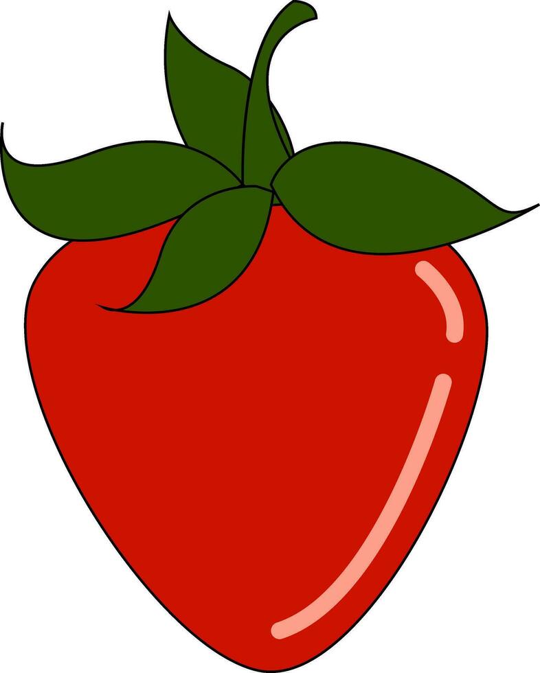 A red strawberry vector or color illustration