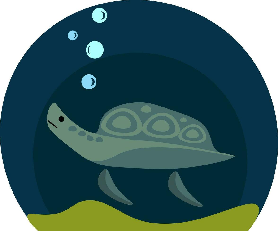 A swimming sea turtle vector or color illustration
