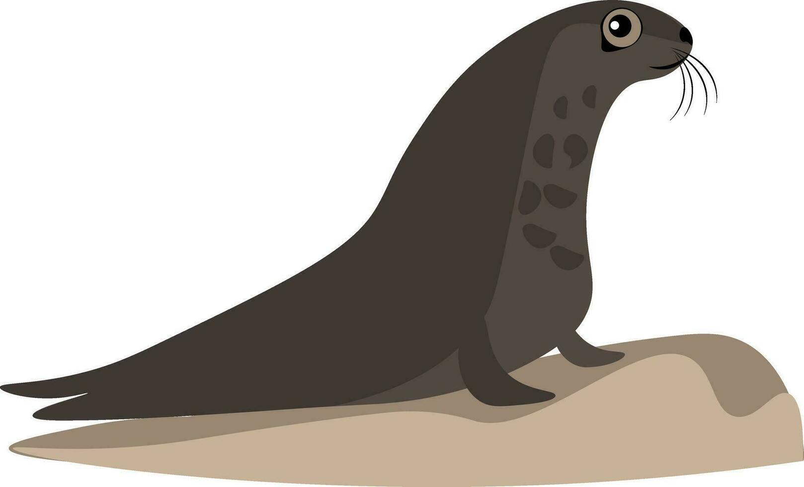 A brown eager looking seal vector or color illustration