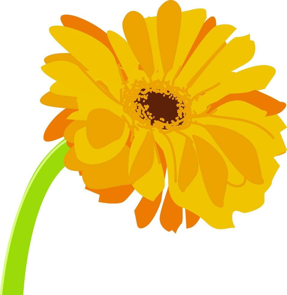 gerbera, vector o color ilustración.