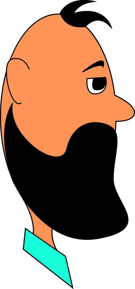 The beard of a man, vector or color illustration.