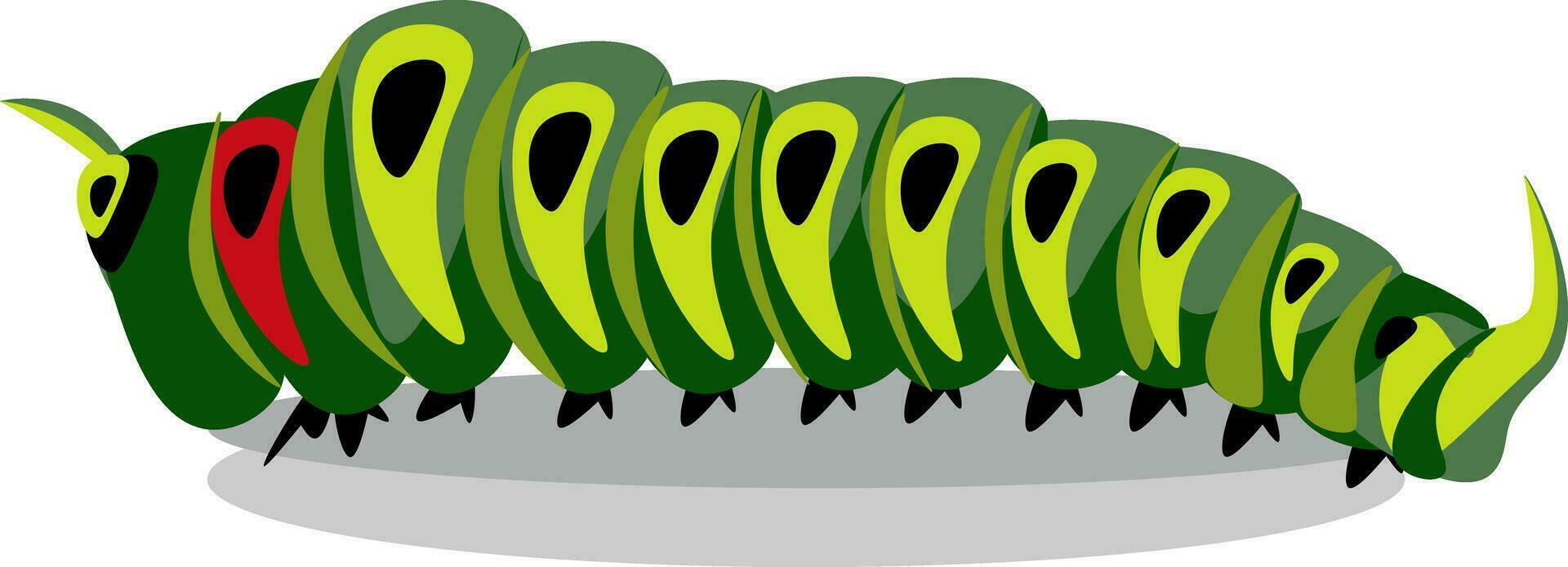 Caterpillar, vector or color illustration.