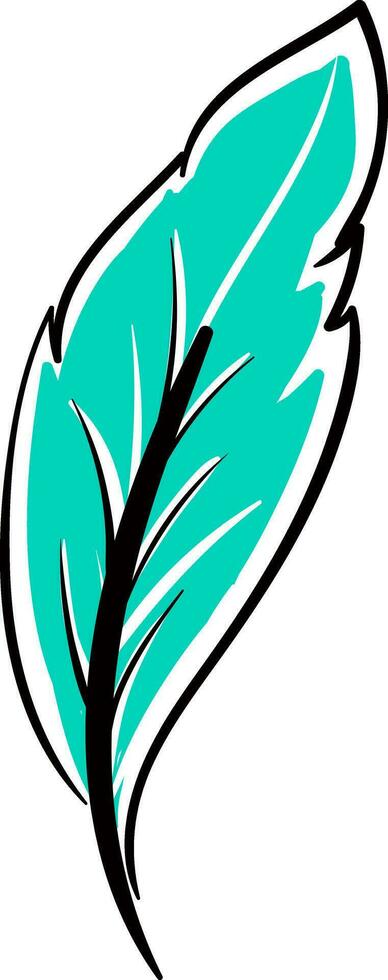 Feather, vector or color illustration.