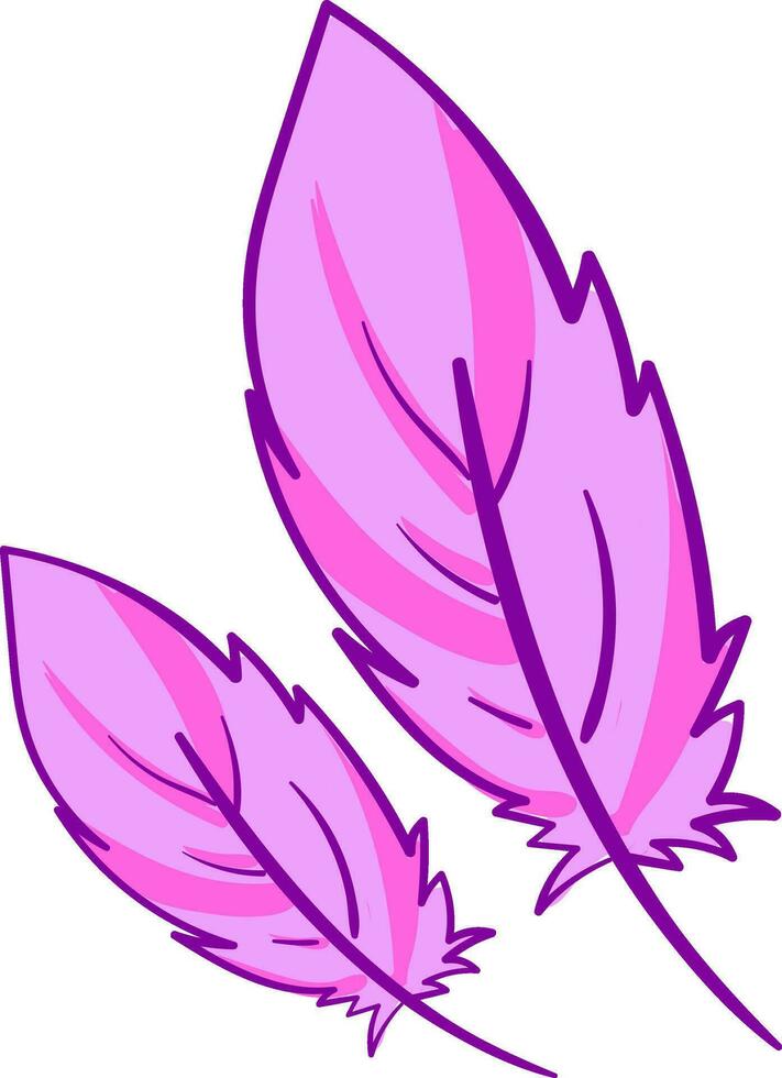 Pink feathers, vector or color illustration.