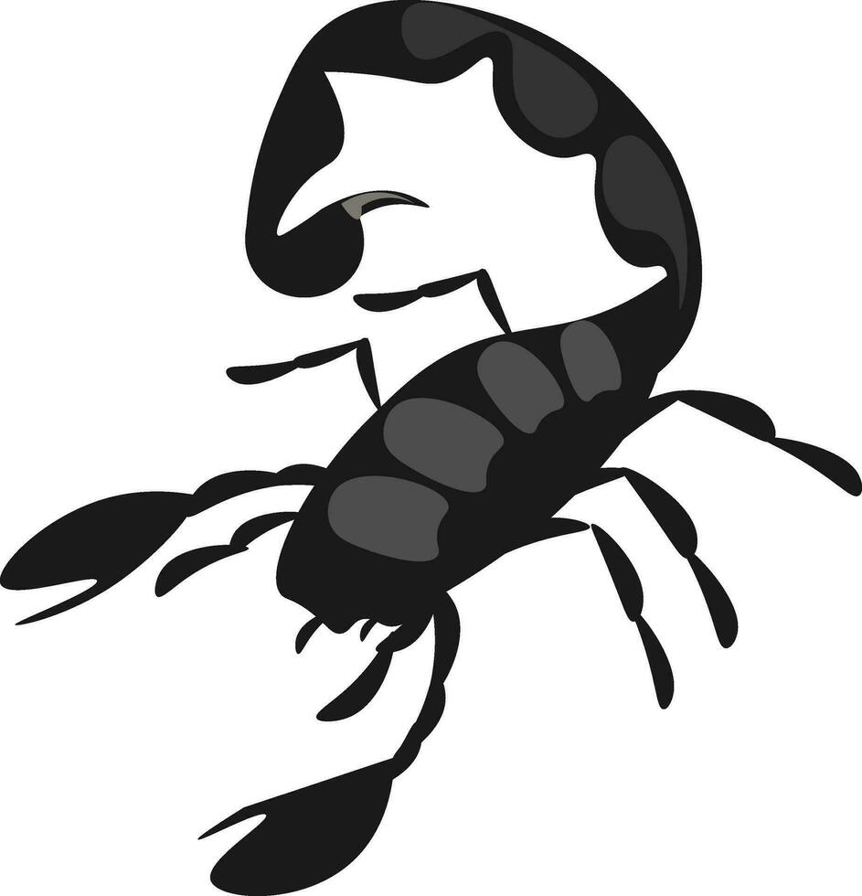 Scorpion, vector or color illustration.