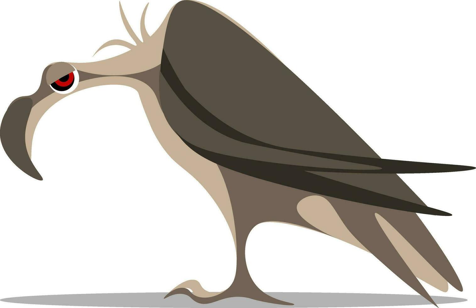 A large vulture set on isolated white background viewed from the side, vector or color illustration.