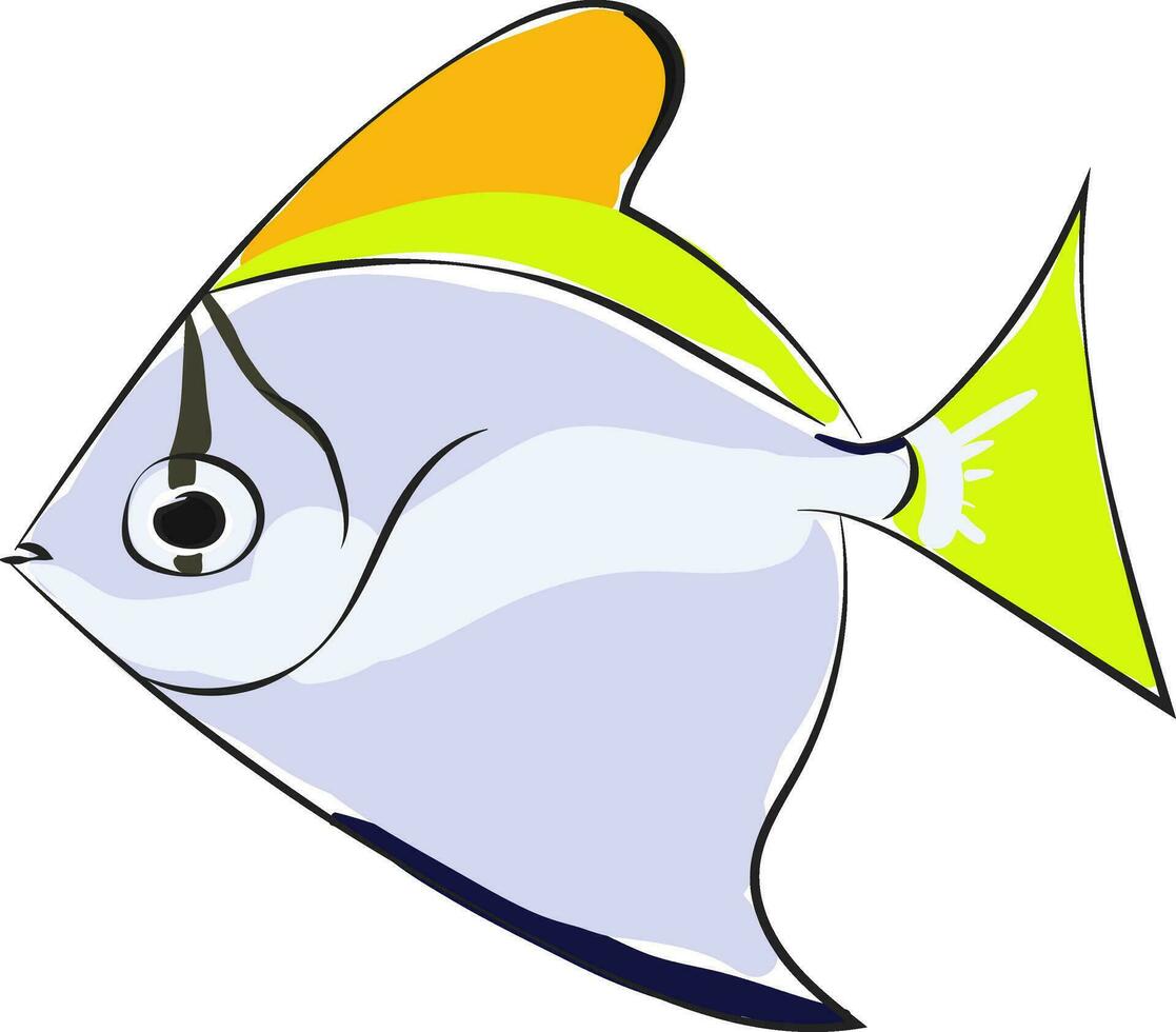 Monodactylus argentusSilver moonyfishSilver moonyButter breamDiamondfish vector or color illustration