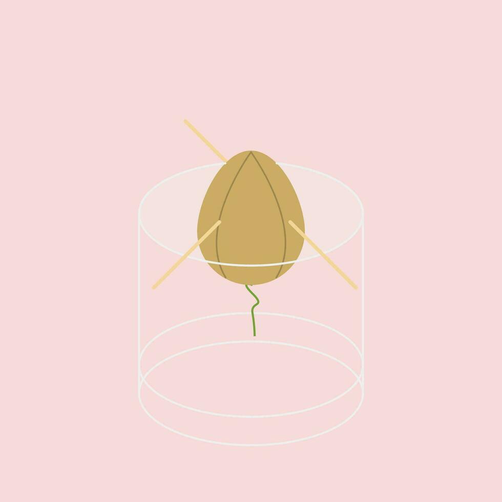 Clipart of an avocado seed over pink background vector or color illustration