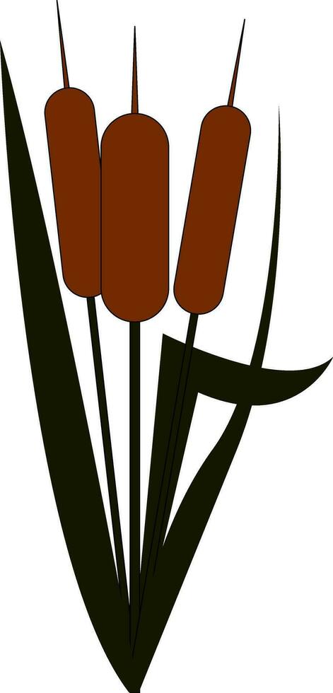 Clipart of a cattail plantTypha vector or color illustration