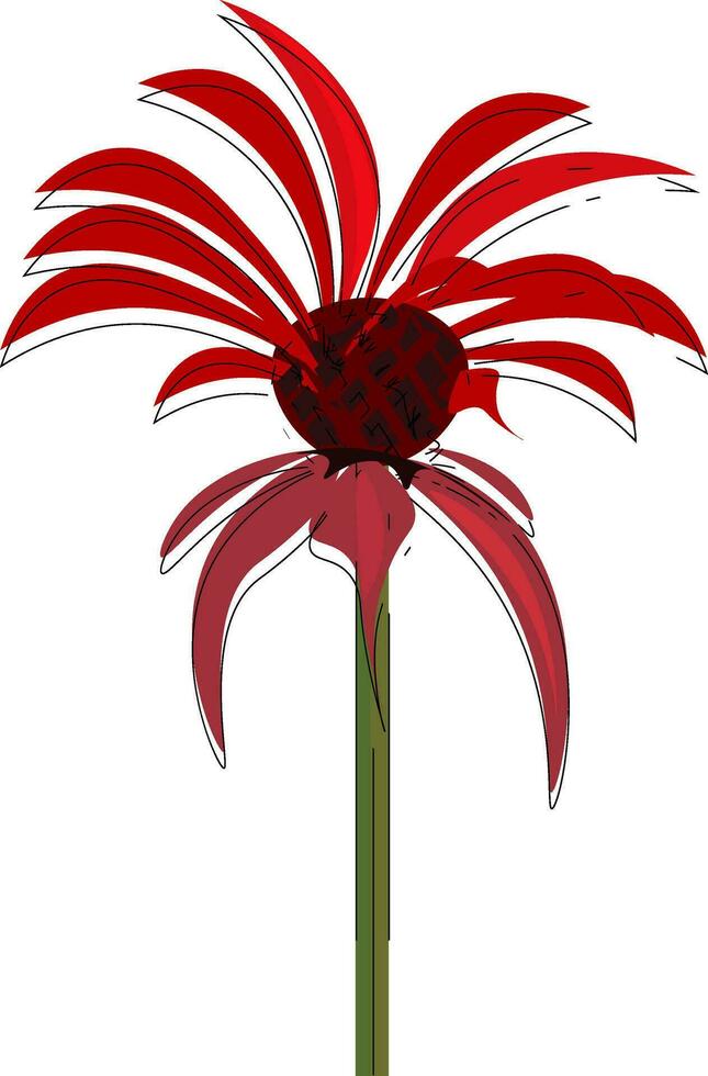 Clipart of a bee balm flower vector or color illustration