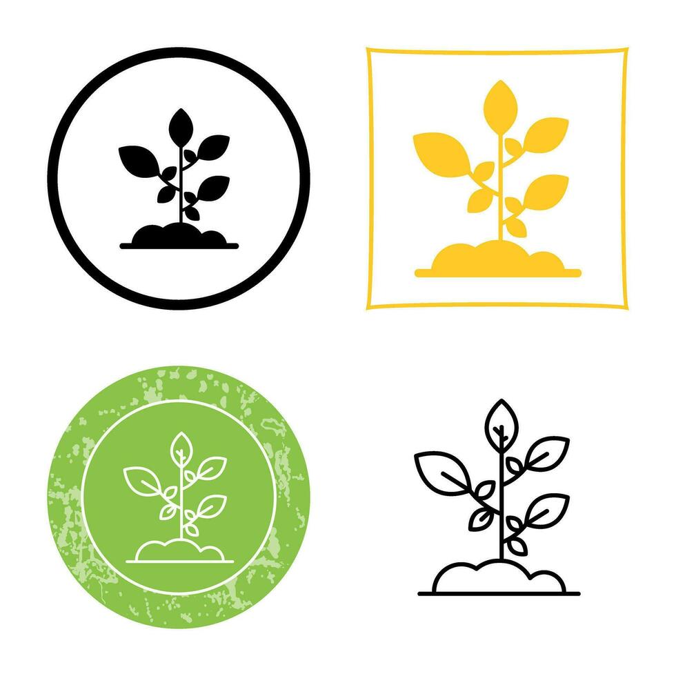 Sprout Vector Icon