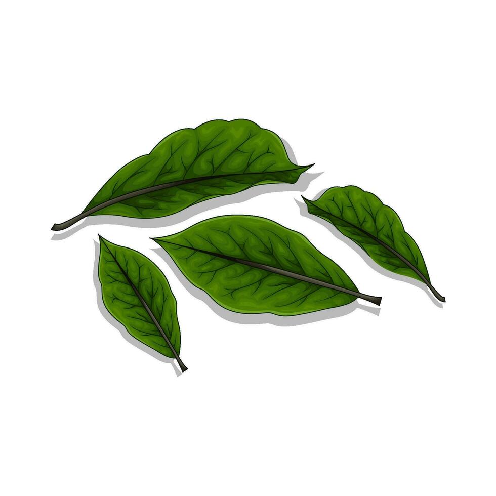 hoja verde naturaleza ilustración vector