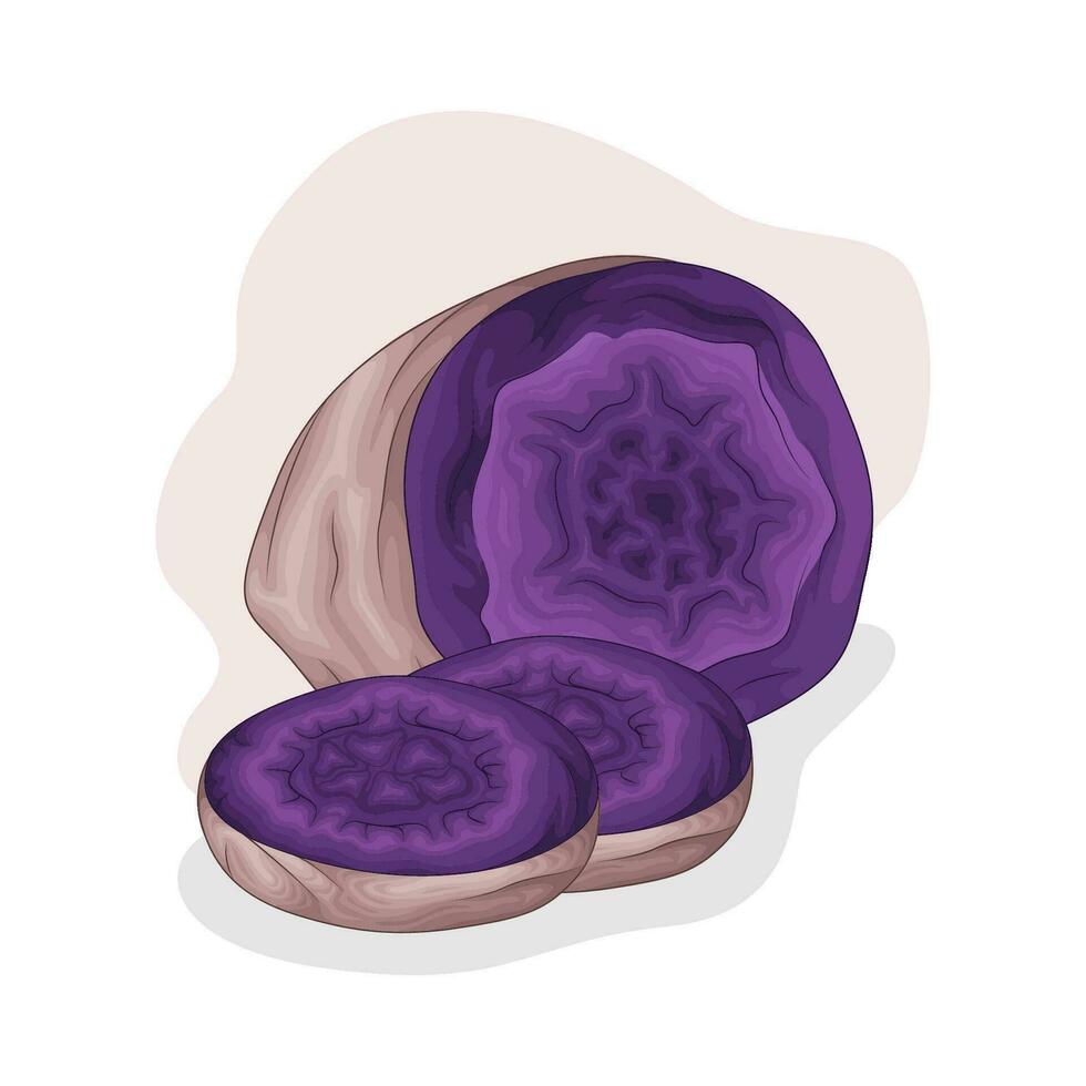 taro purple sweet potato illustration vector