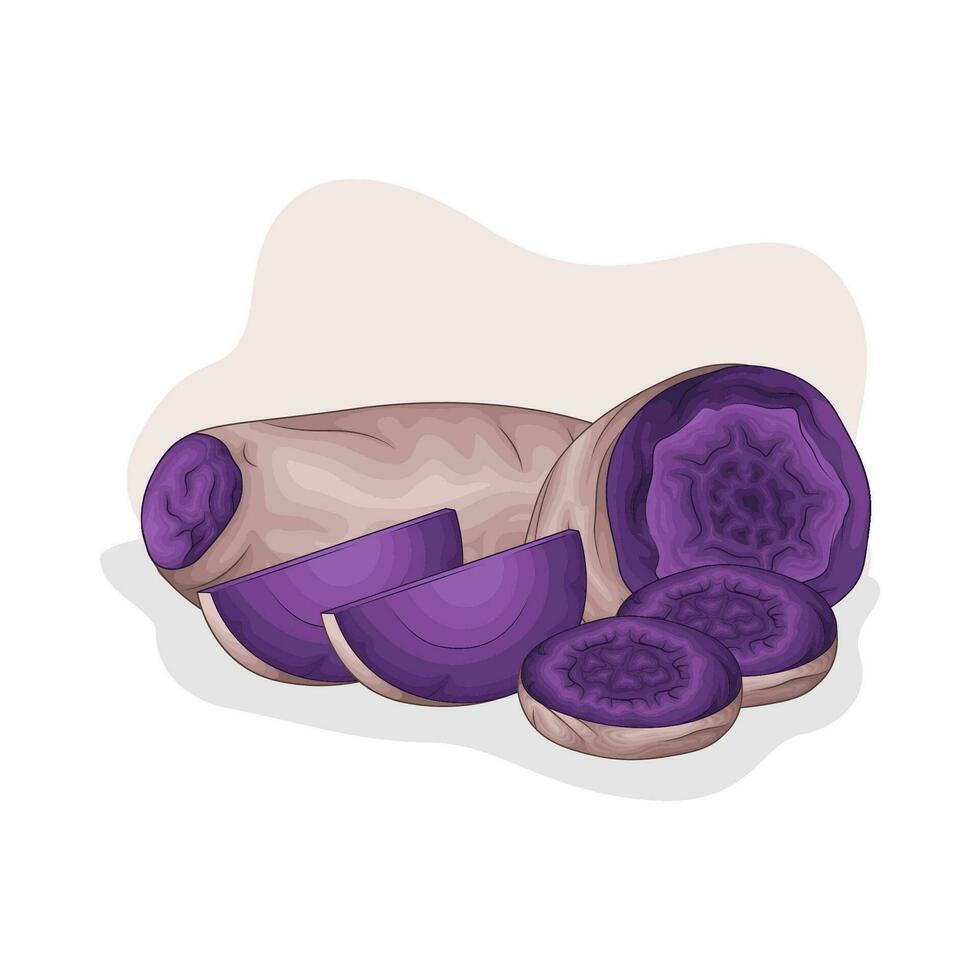 taro purple sweet potato illustration vector