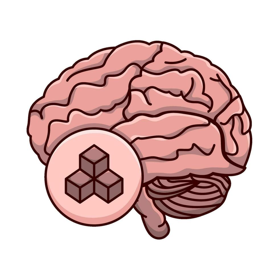 human brain illustration vector