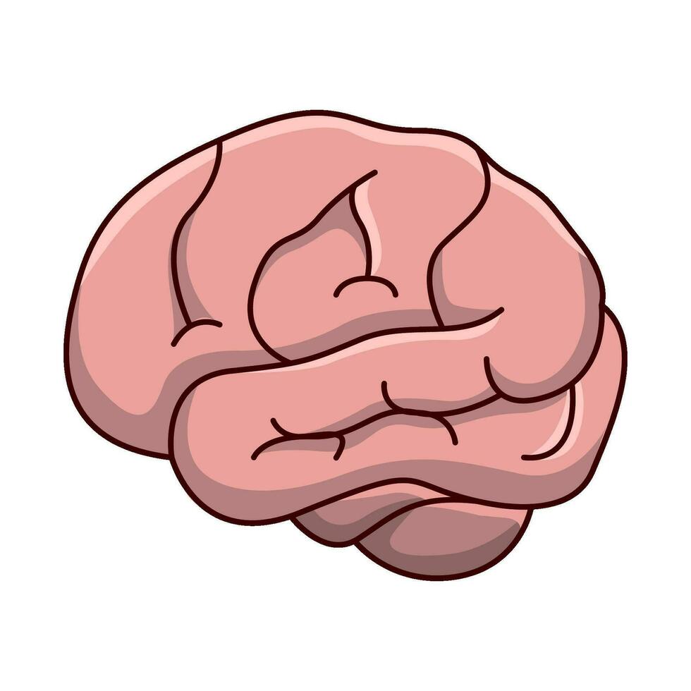 ilustración del cerebro humano vector