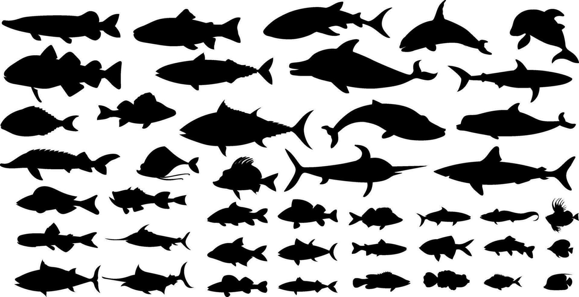 grande colección de agua dulce pescado siluetas aislado vector ilustraciones