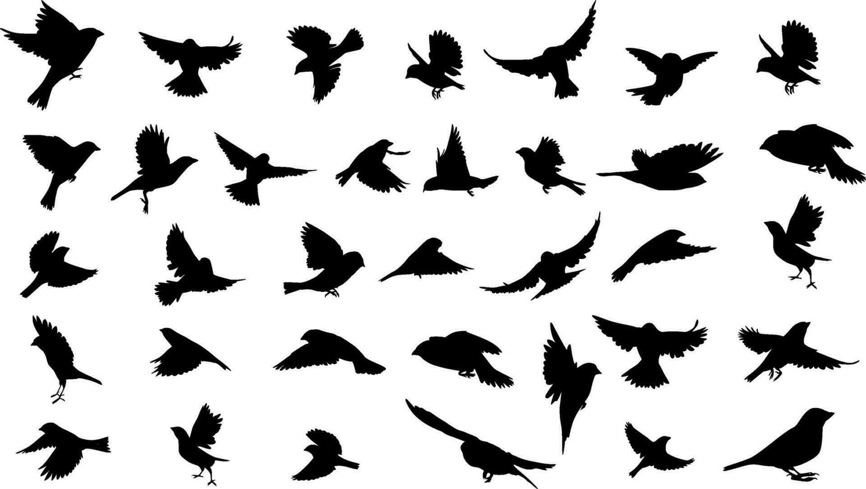 silhouettes of sparrows flying and sitting. Vector illustrations in different poses isolated on white background