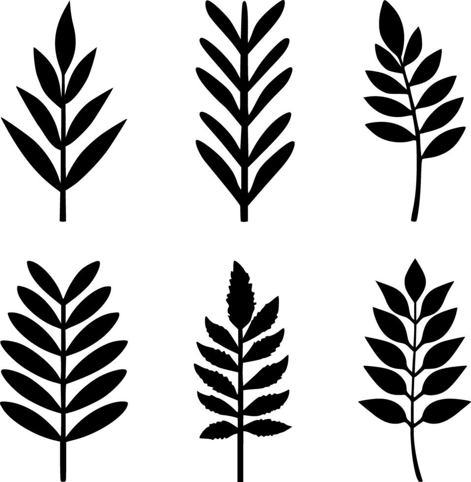 Vector set of 6 isolated fern silhouette vector illustrations