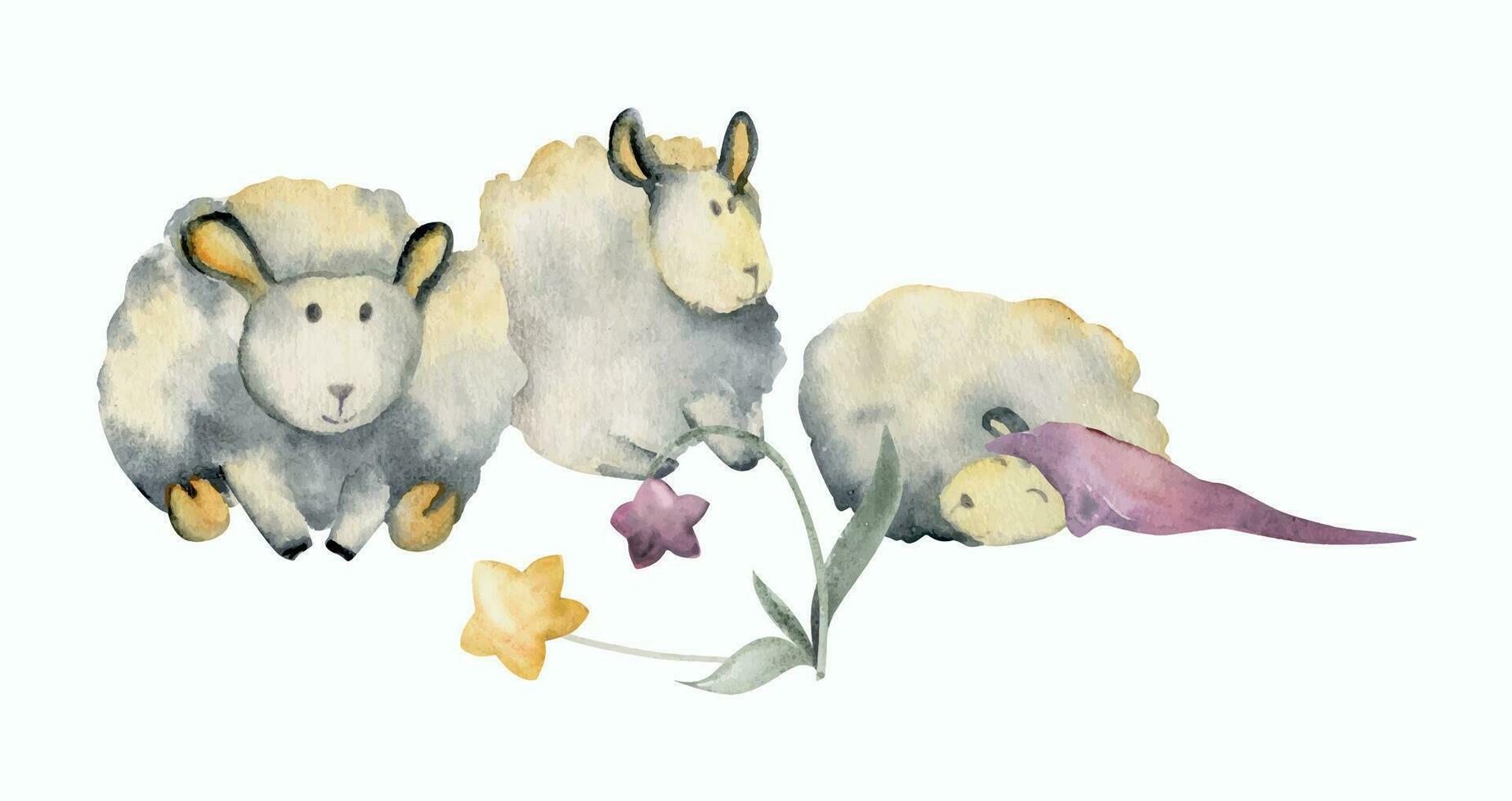 Watercolor hand drawn illustration, cute little plush baby sheep with magical star flowers. Textured effect. Composition isolated on white background. For kids, children bedroom, fabric, linens print vector