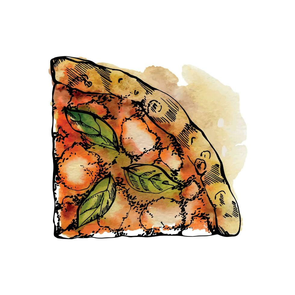Hand drawn watercolor ink illustration. Margherita pizza slice, mozzarella tomato basil, Italian cuisine. Single object isolated on white. Design restaurant menu cafe, food shop package, flyer print. vector