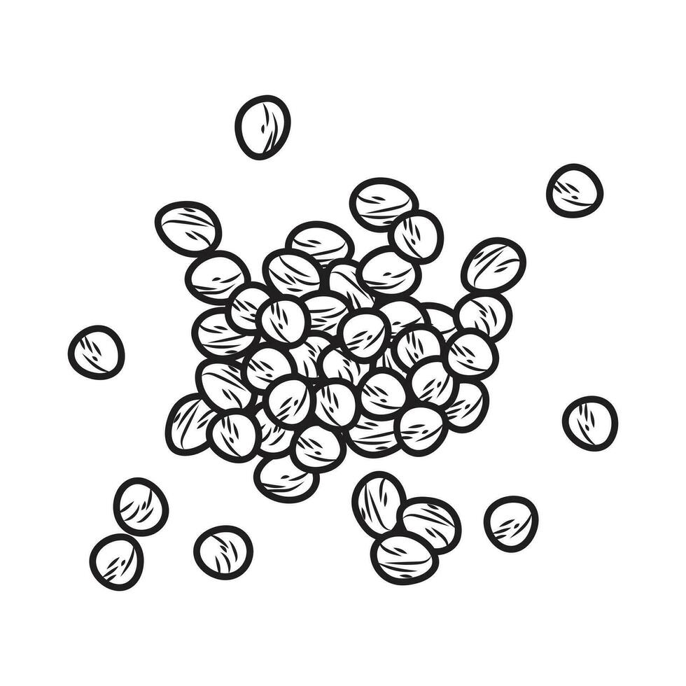 Coriander seed illustration in black and white. vector