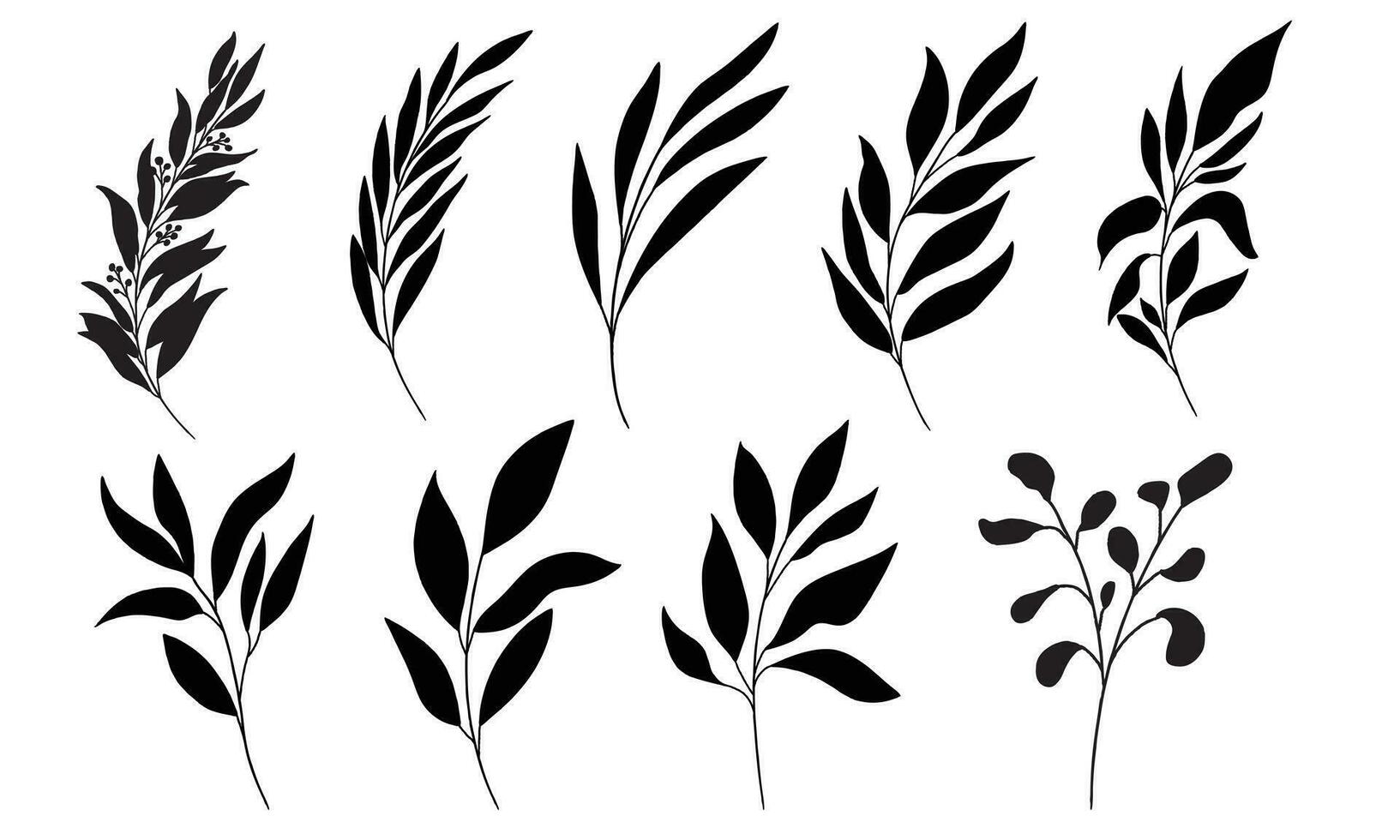 Line art botanical illustration vector on white background