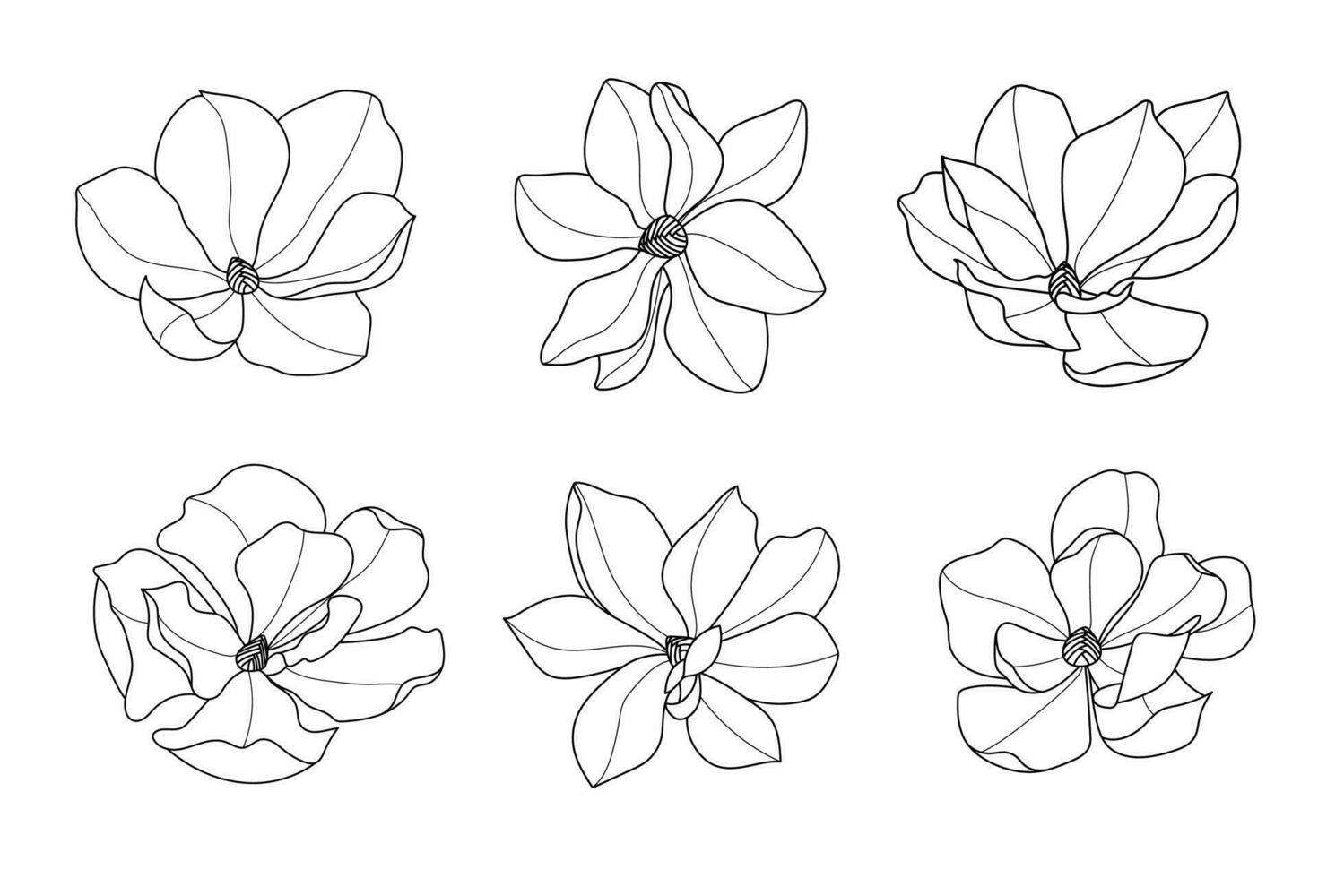 Line art botanical illustration vector on white background