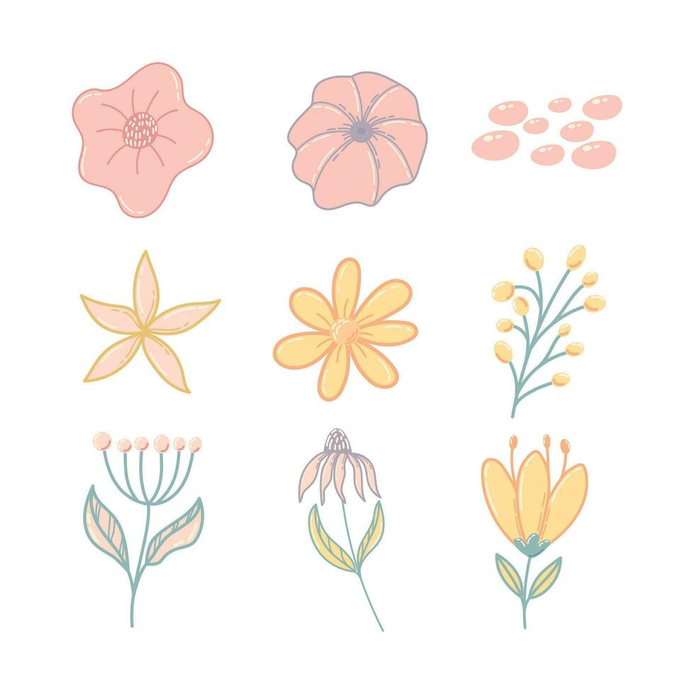 Botanical cute hand drawn illustration vector on white background