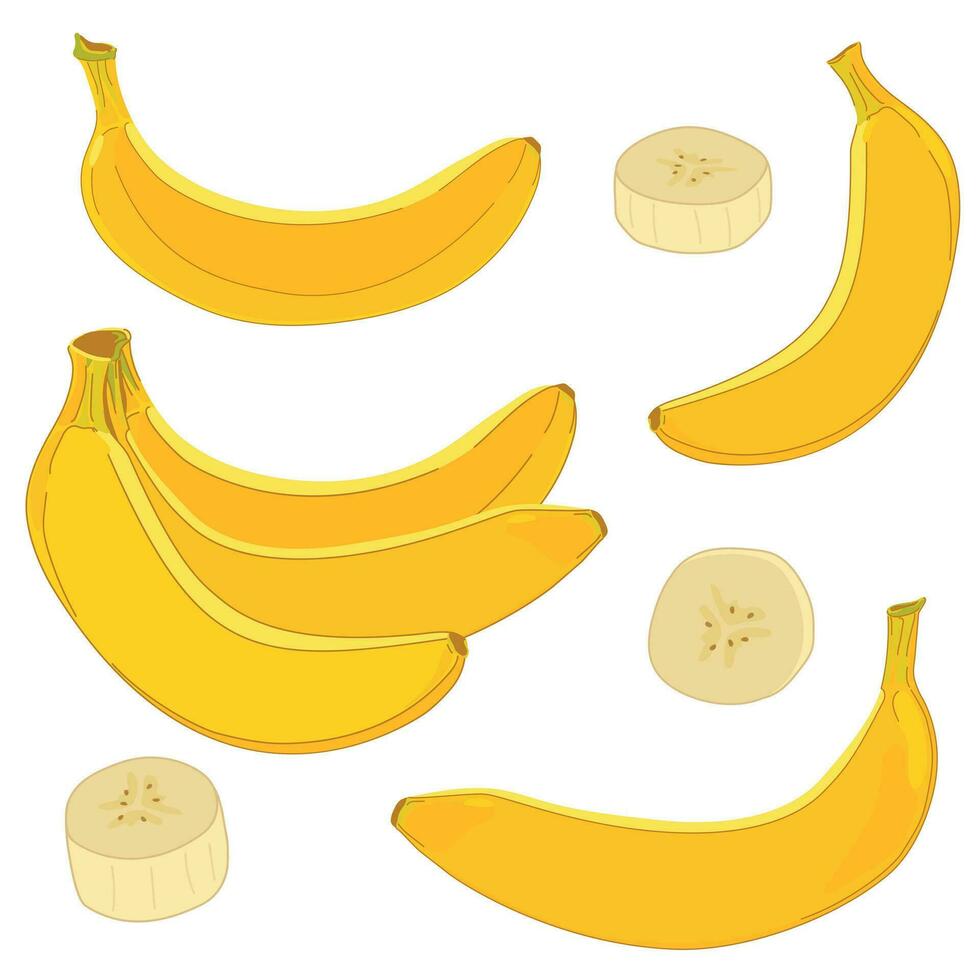 Set of vector yellow bananas in flat style. Whole exotic fruit, bunch of bananas, sliced white flesh. Clipart in cartoon style for packaging design of juice, jam, slices.