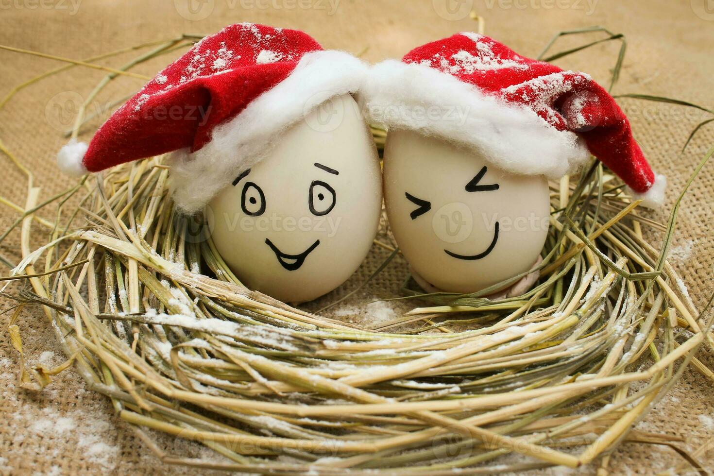 Happy eggs with painted faces in the nest for Christmas photo