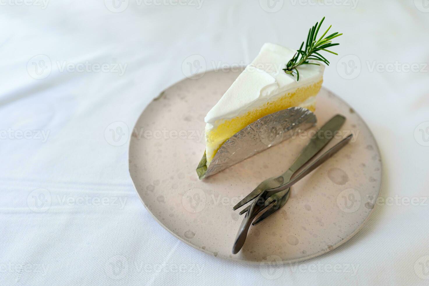 Smooth coconut cream cake sliced in ceramic plate photo