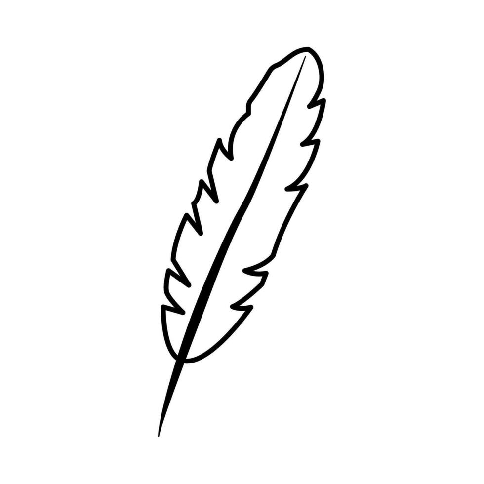 pluma icono vector ilustración diseño