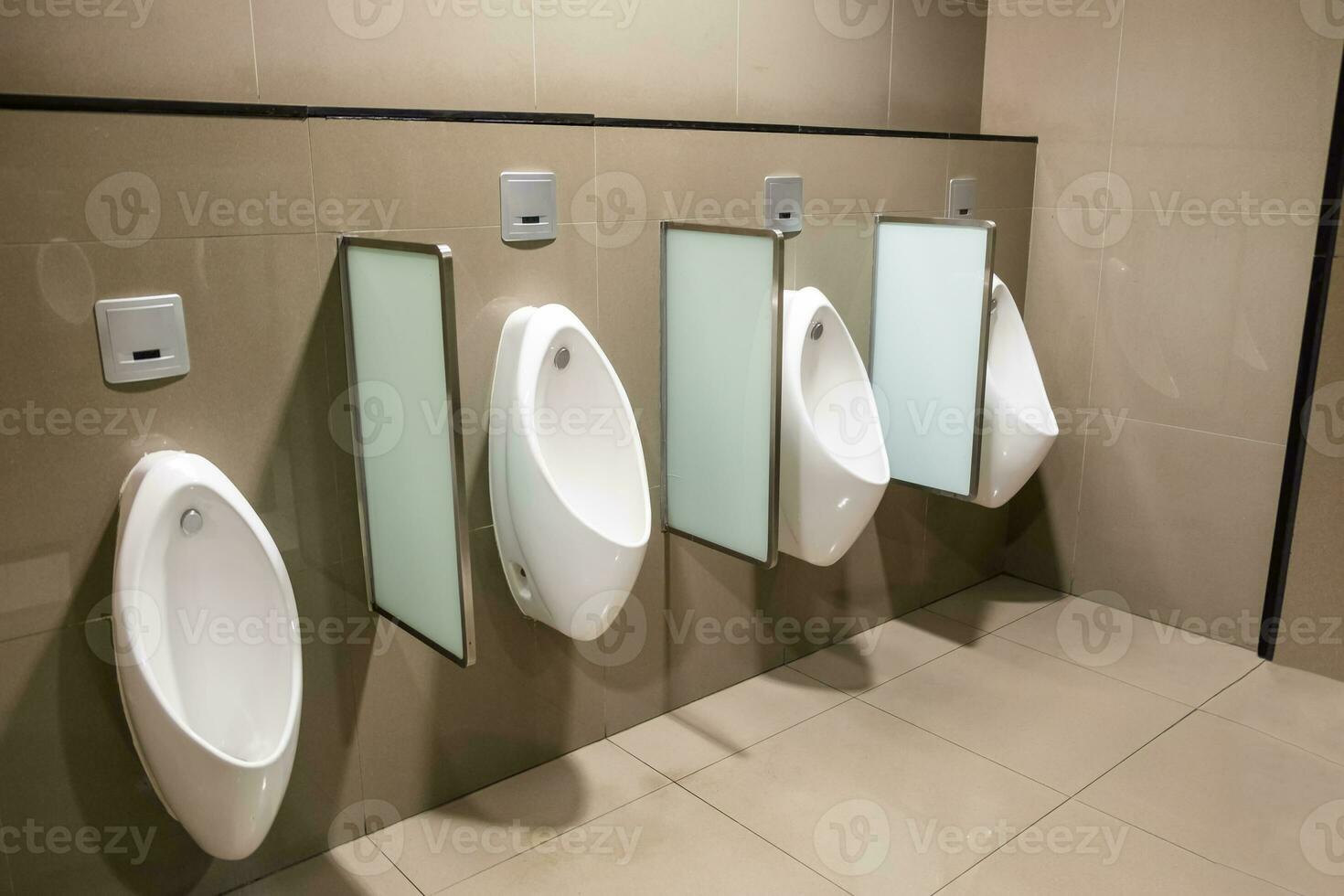 Urinals white ceramic modern luxury auto system photo