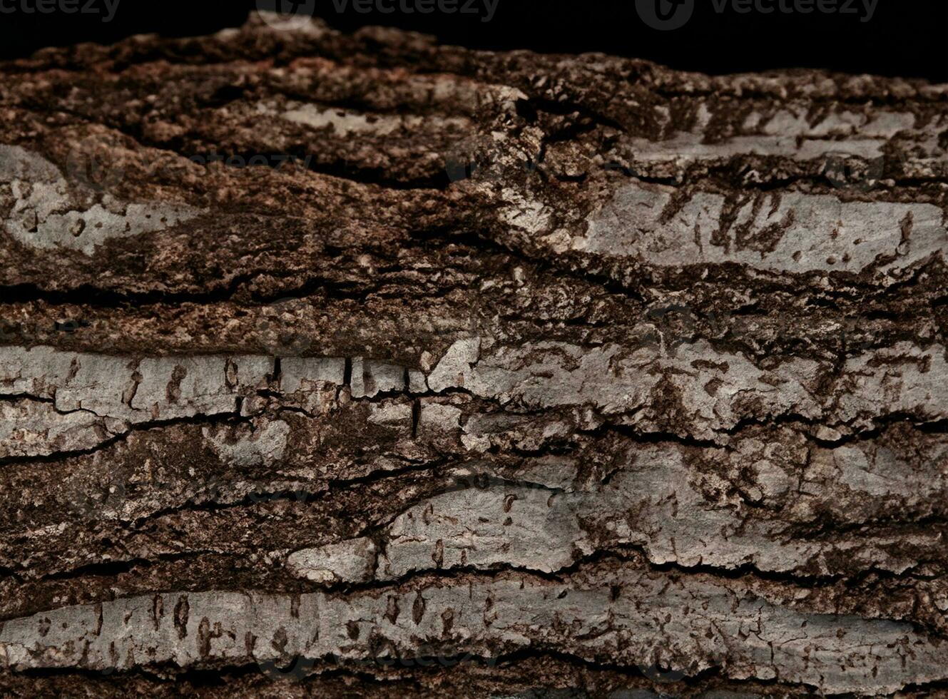 AI generated Deciduous tree bark. Textural background photo