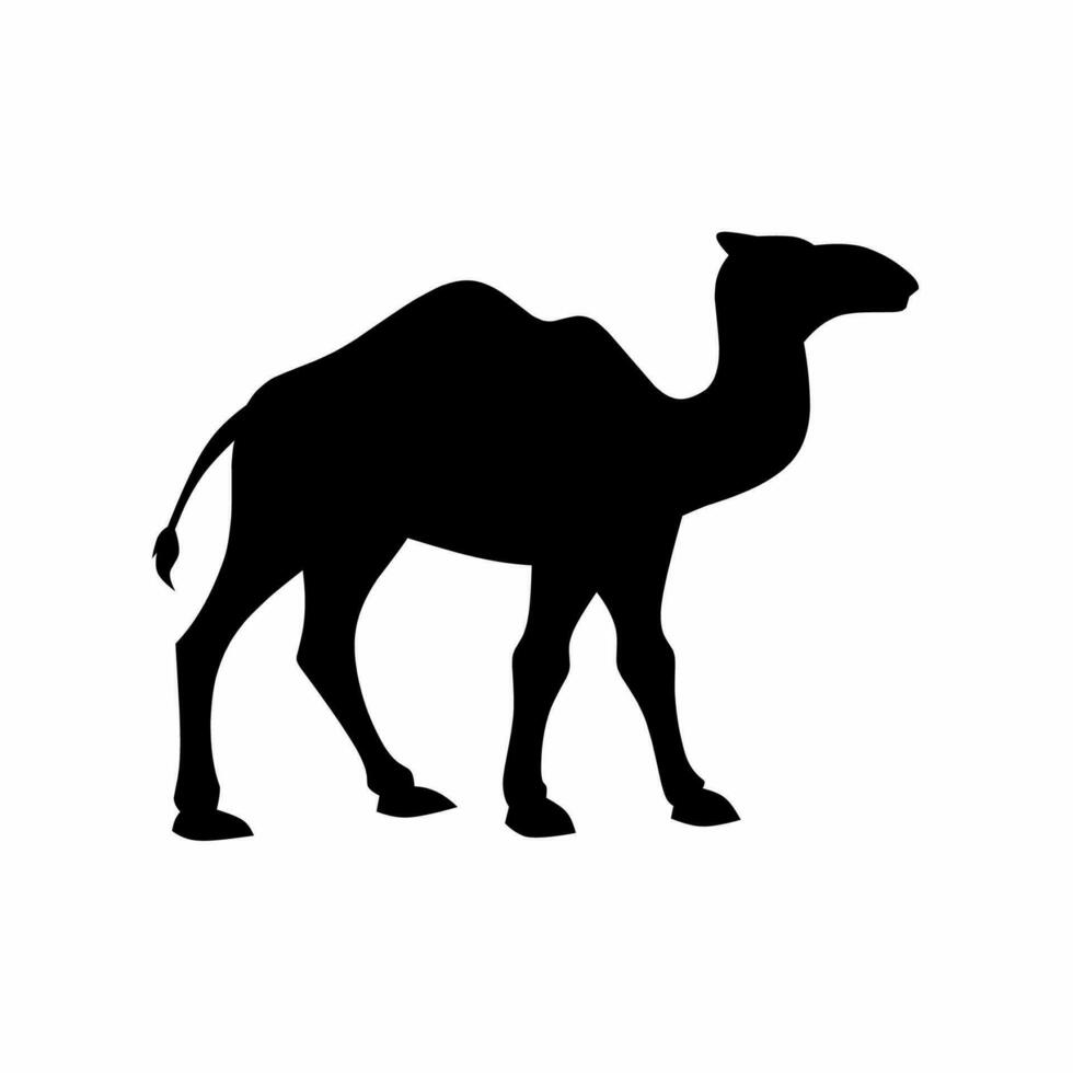 camello silueta vector. dromedario silueta lata ser usado como icono, símbolo o signo. camello icono vector para diseño de desierto, Sáhara, África o viaje