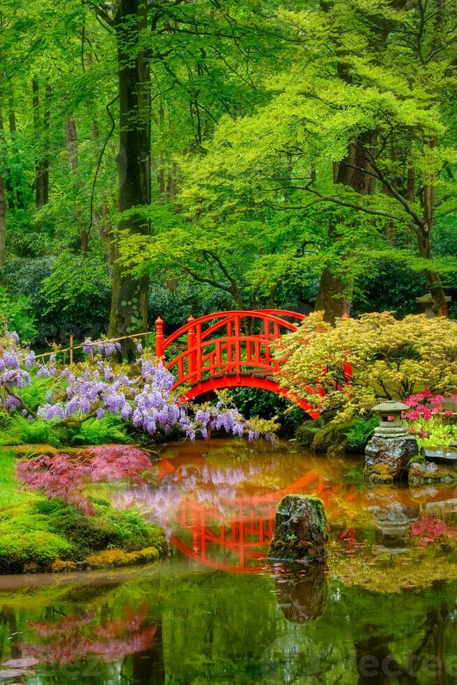 Japanese garden, Park Clingendael, The Hague, Netherlands photo