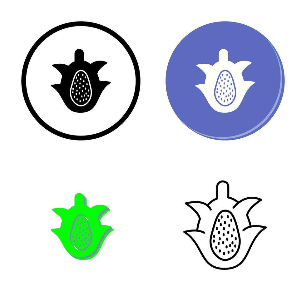 icono de vector de fruta de dragón
