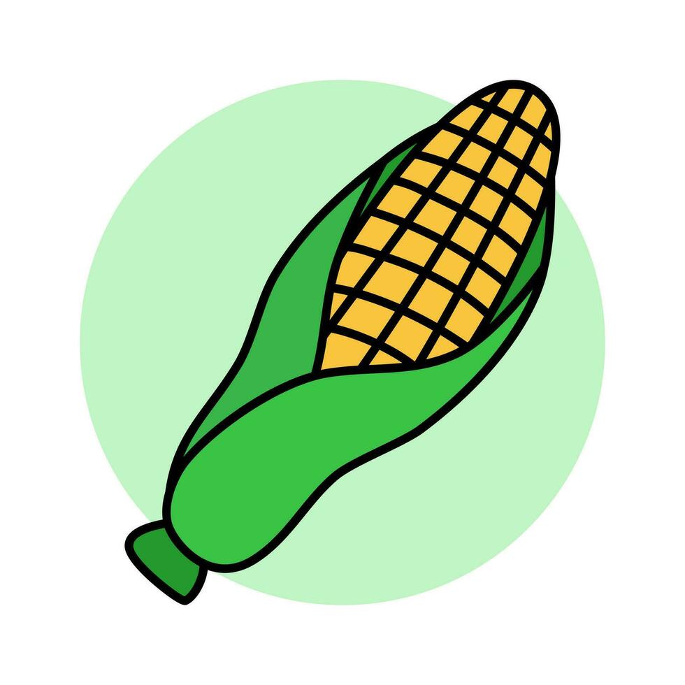 maíz mazorcas vegetal orgánico comida vector ilustración