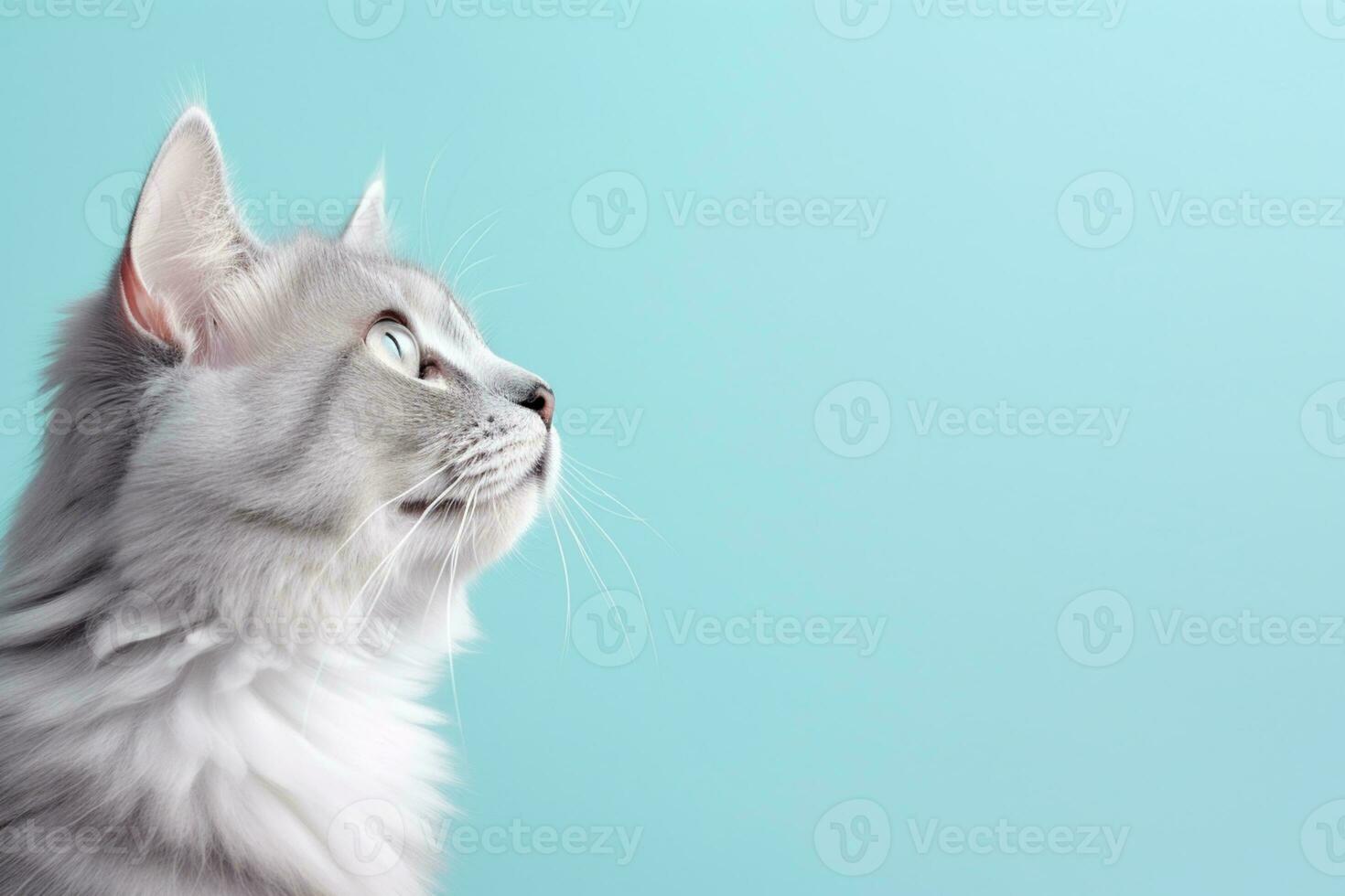 AI Generated Cat on Pastel Background photo