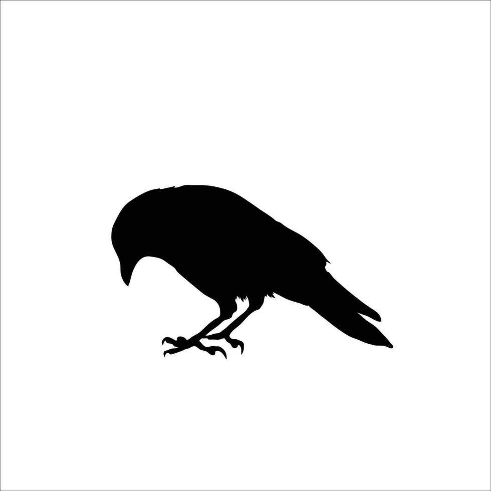 Bird silhouette vector