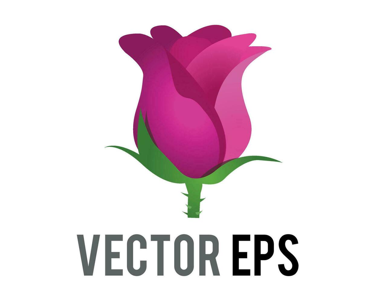 Vector hot pink rose flower icon with green stem and leaves