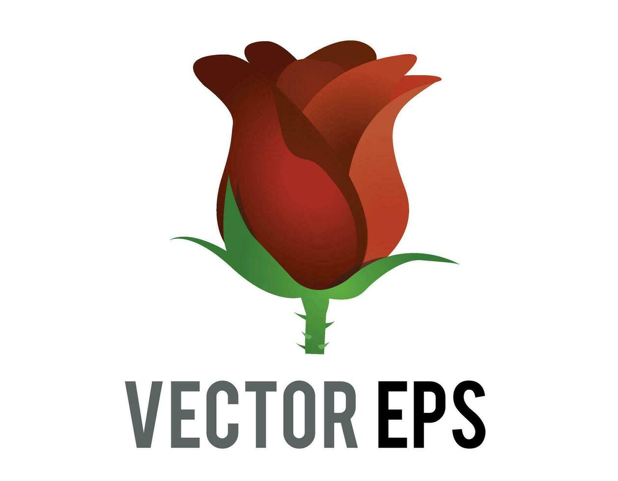 Vector marroon dark red rose flower icon with green stem and leaves
