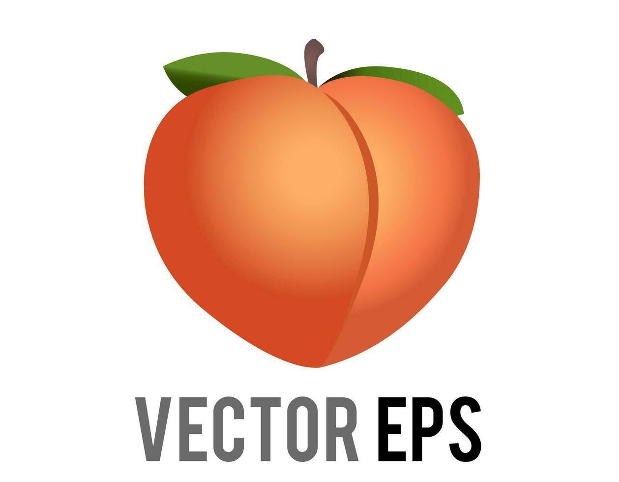 Vector fleshy, pinkish orange fruit of fuzzy peach icon with green leaves and stem