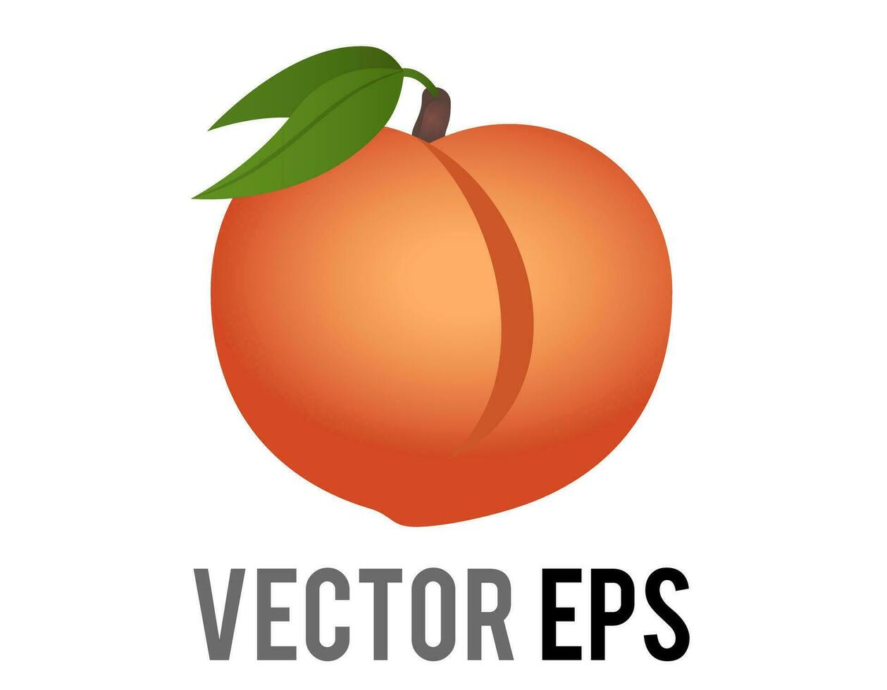 vector carnoso, rosáceo naranja Fruta de borroso melocotón icono con verde hojas y vástago