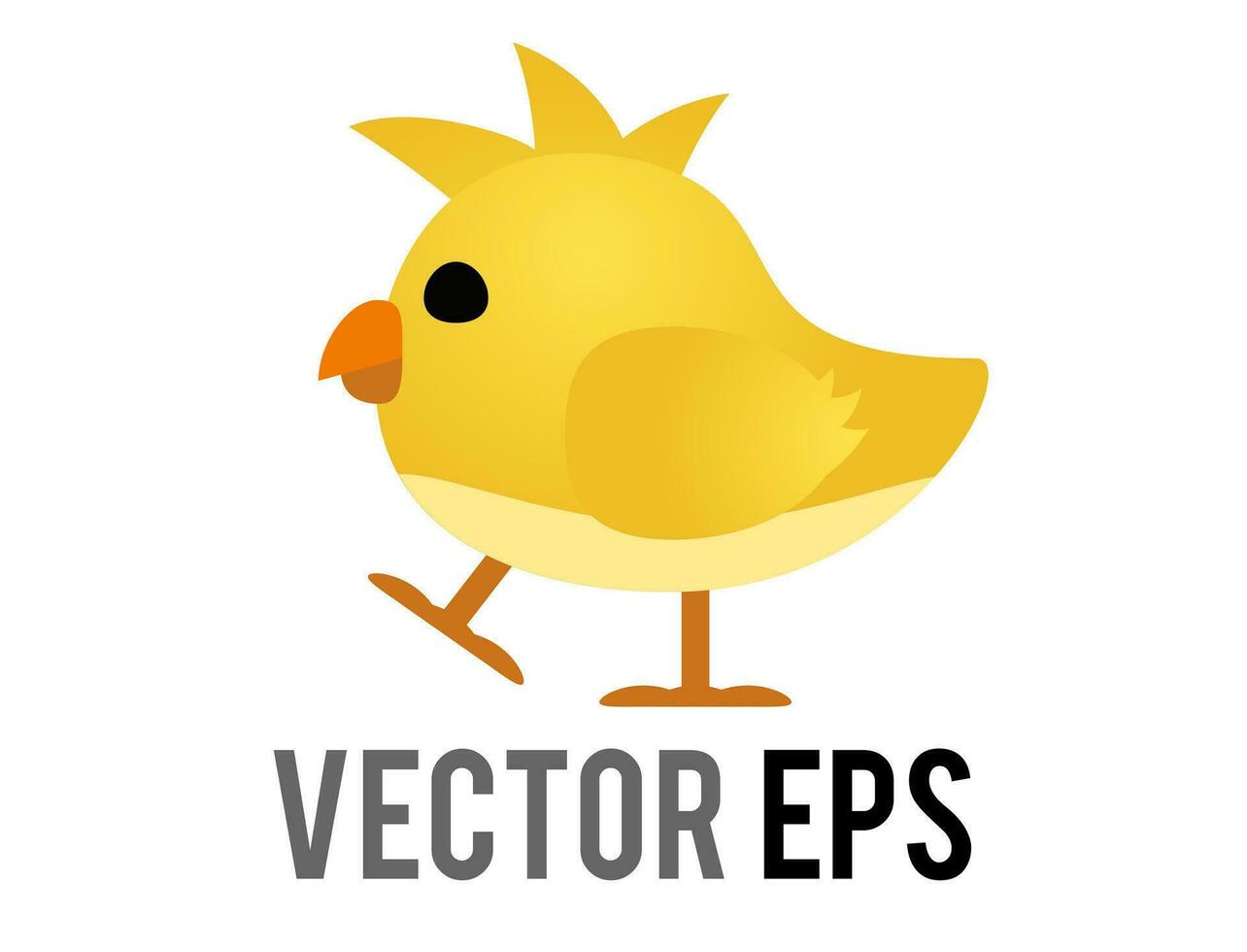 Vector yellow baby chicken, chick eye and orange month in side view