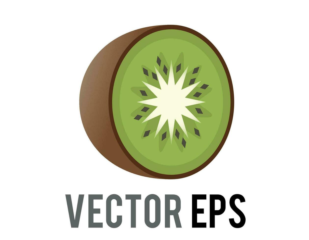 Vector kiwi fruit icon with fuzzy, brown skin, green flesh, white core, black seeds