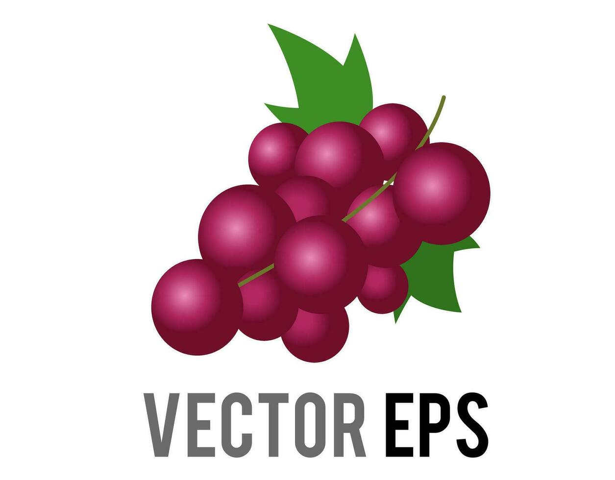 Vector fruit gradient purple grapes bunch icon